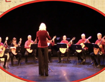 West Sussex Guitar Orchestra Performance